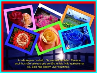 A vida requer cuidado. Os amores também. Flores e espinhos são belezas que se dão juntas. Não queira uma só. Elas não sabem viver sozinhas... 