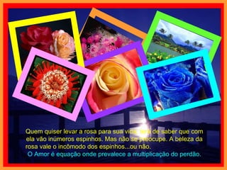 Quem quiser levar a rosa para sua vida, terá de saber que com ela vão inúmeros espinhos. Mas não se preocupe. A beleza da rosa vale o incômodo dos espinhos...ou não.  O Amor é equação onde prevalece a multiplicação do perdão. 