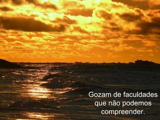Gozam de faculdades
que não podemos
compreender.
 