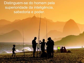 Distinguem-se do homem pela
superioridade da inteligência,
sabedoria e poder.
 