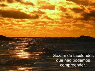 Gozam de faculdades que não podemos compreender. 