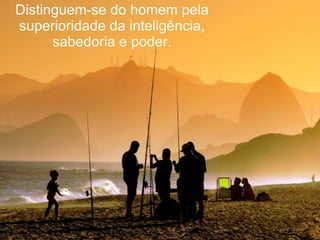 Distinguem-se do homem pela superioridade da inteligência, sabedoria e poder. 