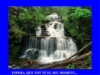 ESPERA, QUE TOT TÉ EL SEU MOMENT... 