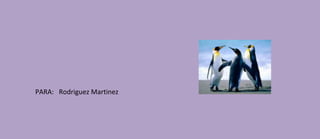 PARA: Rodriguez Martinez
 