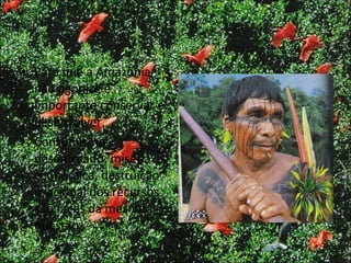 Para que a Amazônia não agonize é importante conservar e desenvolver. Consumismo desenfreado, miséria econômica, destruição irracional dos recursos são faces da mesma questão 