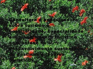 Simone Scorsato Consultora e pesquisadora sobre turismo e hospitalidade. Especialidade em planejamento turístico com ênfase no desenvolvimento sustentado de destinos e lugares turísticos. 