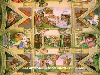 Quem não admirará este fascinante camaleão? 