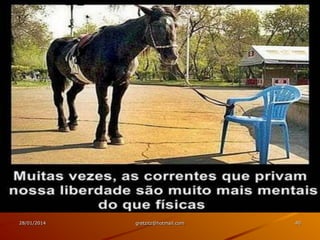 28/01/2014

gretzitz@hotmail.com

40

 