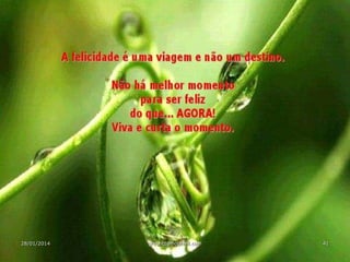 28/01/2014

gretzitz@hotmail.com

41

 