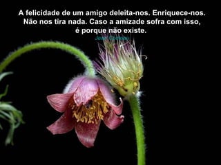 A felicidade de um amigo deleita-nos. Enriquece-nos.
 Não nos tira nada. Caso a amizade sofra com isso,
                 é porque não existe.
                     Jean Cocteau
 