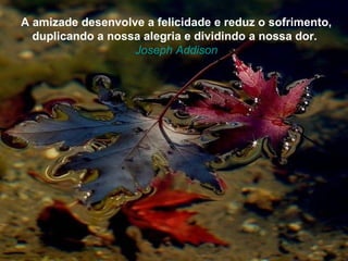 A amizade desenvolve a felicidade e reduz o sofrimento,
  duplicando a nossa alegria e dividindo a nossa dor.
                   Joseph Addison
 