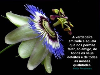 A verdadeira
 amizade é aquela
 que nos permite
falar, ao amigo, de
   todos os seus
defeitos e de todas
     as nossas
    qualidades.
   Millôr Fernandes
 