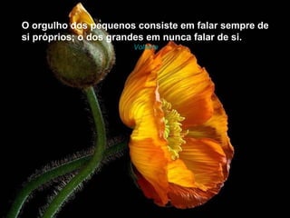 O orgulho dos pequenos consiste em falar sempre de
si próprios; o dos grandes em nunca falar de si.
                      Voltaire
 