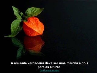 A amizade verdadeira deve ser uma marcha a dois
                para as alturas.
                 La Rochefoucauld
 