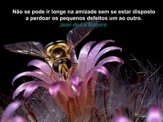 Não se pode ir longe na amizade sem se estar disposto
    a perdoar os pequenos defeitos um ao outro.
                  Jean de La Bruyère
 