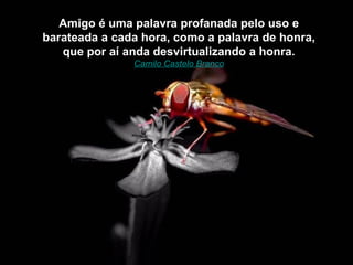 Amigo é uma palavra profanada pelo uso e
barateada a cada hora, como a palavra de honra,
   que por aí anda desvirtualizando a honra.
               Camilo Castelo Branco
 
