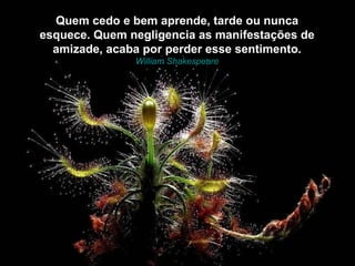 Quem cedo e bem aprende, tarde ou nunca
esquece. Quem negligencia as manifestações de
  amizade, acaba por perder esse sentimento.
               William Shakespeare
 