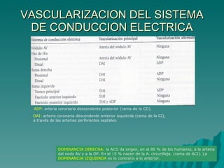 VASCULARIZACION DEL SISTEMA DE CONDUCCION ELECTRICA ADP:  arteria coronaria descendente posterior (rama de la CD). DAI:  arteria coronaria descendente anterior izquierda (rama de la CI), a través de las arterias perforantes septales. DOMINANCIA DERECHA:  la ACD da origen, en el 85 % de los humanos, a la arteria del nodo AV y a la DP. En el 15 % nacen de la A. circunfleja. (rama de ACI). La  DOMINANCIA IZQUIERDA  es lo contrario a lo anterior. 