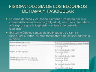 FISIOPATOLOGIA DE LOS BLOQUEOS DE RAMA Y FASCICULAR La rama derecha y el fascículo anterior izquierdo por sus características anatómicas (delgadas), son más vulnerables a la ruptura que la izquierda y el fascículo posterior izquierdo. Existen múltiples causas de los bloqueos de rama y fasciculares, entre los más frecuentes son los secundarios a infartos: 