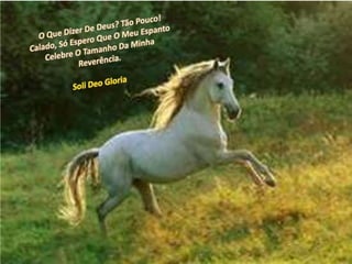 O Que Dizer De Deus? Tão Pouco! Calado, Só Espero Que O Meu Espanto Celebre O Tamanho Da Minha Reverência.Soli Deo Gloria