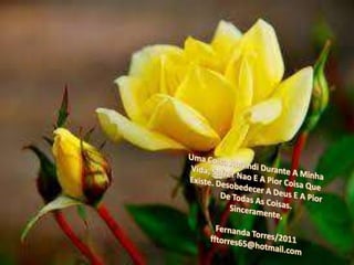 Uma CoisaAprendi Durante A Minha Vida, SofrerNao E A PiorCoisaQueExiste. Desobedecer A Deus E A PiorDe Todas As Coisas.Sinceramente,Fernanda Torres/2011fftorres65@hotmail.com