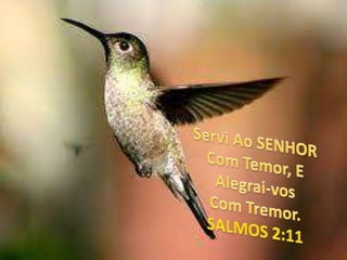 Servi Ao SENHOR Com Temor, E Alegrai-vos Com Tremor. SALMOS 2:11