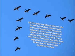 Não Sei Explicar As Razões De Minha Fé. Não Sei Dizer Os Porquês De Minha Devoção. Sinto-me Inadequado Para Convencer Os Indiferentes. Como Fazer Que Desejem O Mesmo Sal Que Tempera O Meu Viver? Limitado, Reconheço Que Tudo O Que Sei Sobre O Divino É Provisório. Não Tenho Como Negar, Minhas Convicções Vacilam. As Certezas Que Me Comovem São, Decididamente, Vagas.