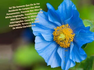 Sei Tão Somente Que Ele Se Fez Residente No Campus Dos Meus Pensamentos. Presente Nos Vôos Da Minha Imaginação, Transformou-se No Mais Doce Ponto De Minhas Interrogações. Causa De Toda Inquietação, Tornou-se A Fonte De Minha Clarividência.