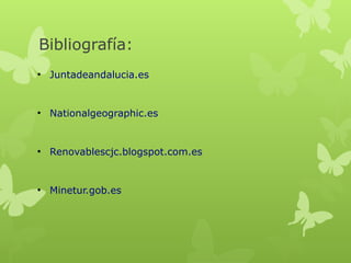 Bibliografía:
●

Juntadeandalucia.es

●

Nationalgeographic.es

●

Renovablescjc.blogspot.com.es

●

Minetur.gob.es

 