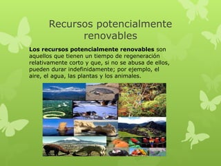 Recursos potencialmente
renovables
Los recursos potencialmente renovables son
aquellos que tienen un tiempo de regeneración
relativamente corto y que, si no se abusa de ellos,
pueden durar indefinidamente; por ejemplo, el
aire, el agua, las plantas y los animales.

 