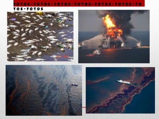 Fotos–Fotos–Fotos–Fotos–Fotos–Fotos–Fo
tos–Fotos
 