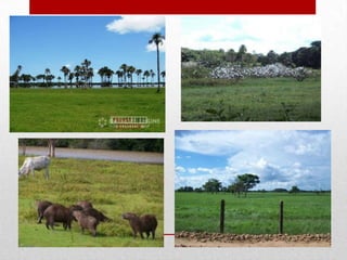 Sobre explotacion de recursos naturales~