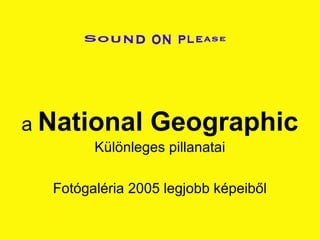 a National Geographic 
Különleges pillanatai 
Fotógaléria 2005 legjobb képeiből 
 