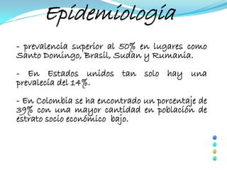 Epidemiologia
- prevalencia superior al 50% en lugares como
Santo Domingo, Brasil, Sudan y Rumania.
- En Estados unidos tan solo hay una
prevalecía del 14%.
- En Colombia se ha encontrado un porcentaje de
39% con una mayor cantidad en población de
estrato socio económico bajo.
 
