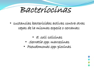 Bacteriocinas
• sustancias bactericidas activas contra otras
     cepas de la mismas especie o cercanas:

             • E. coli: colicinas
         • Serratia spp: marcesinas
        • Pseudomonas spp: piocinas
 