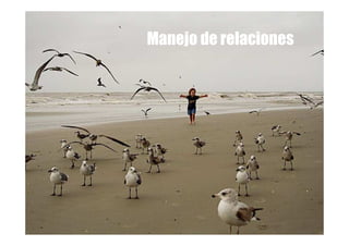 Manejo de relaciones
 