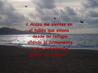 ¿ Acaso me sientes en el hálito que emano desde mi refugio allende el firmamento y que suavemente golpea tu cintura?  