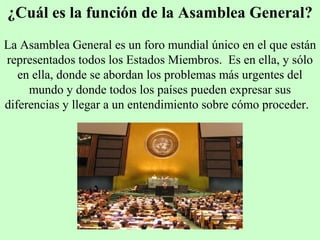 ¿Cuál es la función de la Asamblea General?
La Asamblea General es un foro mundial único en el que están
representados todos los Estados Miembros. Es en ella, y sólo
en ella, donde se abordan los problemas más urgentes del
mundo y donde todos los países pueden expresar sus
diferencias y llegar a un entendimiento sobre cómo proceder.
 