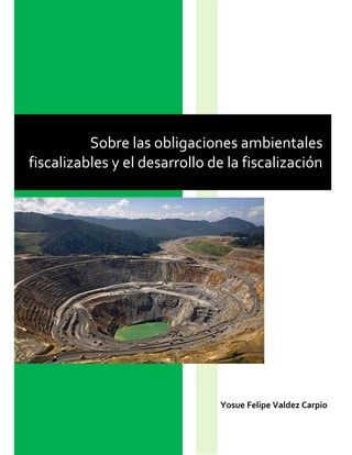 Sobre las obligaciones ambientales
fiscalizables y el desarrollo de la fiscalización
Yosue Felipe Valdez Carpio
 
