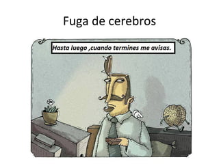 Fuga de cerebros