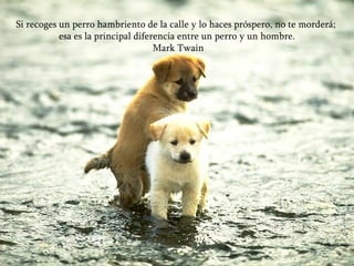 Si recoges un perro hambriento de la calle y lo haces próspero, no te morderá;  esa es la principal diferencia entre un perro y un hombre. Mark Twain 
