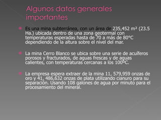 Es una mina subterránea, con un área de  235,452 m² (23.5 Ha.) ubicada dentro de una zona geotermal con temperaturas esperadas hasta de 70 a más de 80°C dependiendo de la altura sobre el nivel del mar. La mina Cerro Blanco se ubica sobre una serie de acuíferos porosos y fracturados, de aguas frescas y de aguas calientes, con temperaturas cercanas a los 100ºC. La empresa espera extraer de la mina  11, 579,959 onzas de oro y 41, 486,632 onzas de plata utilizando cianuro para su separación. Usando 108 galones de agua por minuto para el procesamiento del mineral. 
