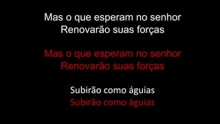 Mas o que esperam no senhor
Renovarão suas forças
Mas o que esperam no senhor
Renovarão suas forças
Subirão como águias
Subirão como águias
 