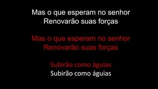 Mas o que esperam no senhor
Renovarão suas forças
Mas o que esperam no senhor
Renovarão suas forças
Subirão como águias
Subirão como águias
 