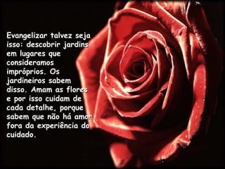 Evangelizar talvez seja isso: descobrir jardins em lugares que consideramos impróprios. Os jardineiros sabem disso. Amam as flores e por isso cuidam de cada detalhe, porque sabem que não há amor fora da experiência do cuidado. 
