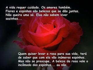 A vida requer cuidado. Os amores também. Flores e espinhos são belezas que se dão juntas. Não queira uma só. Elas não sabem viver sozinhas...  Quem quiser levar a rosa para sua vida, terá de saber que com ela vão inúmeros espinhos. Mas não se preocupe. A beleza da rosa vale o incômodo dos espinhos... ou não.  