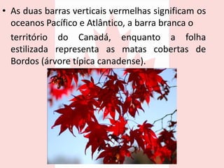 • As duas barras verticais vermelhas significam os
oceanos Pacífico e Atlântico, a barra branca o
território do Canadá, enquanto a folha
estilizada representa as matas cobertas de
Bordos (árvore típica canadense).
 