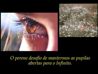 O perene desafio de mantermos as pupilas
         abertas para o Infinito.
 