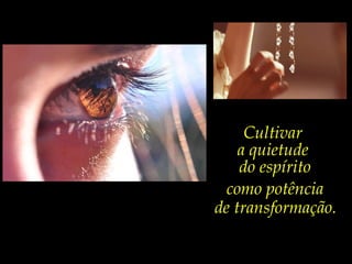Cultivar
    a quietude
    do espírito
  como potência
de transformação.
 