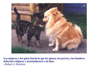 Las mujeres y los gatos harán lo que les plazca, los perros y los hombres deberían relajarse y acostumbrarse a la idea. -  Robert A. Heinlein 
